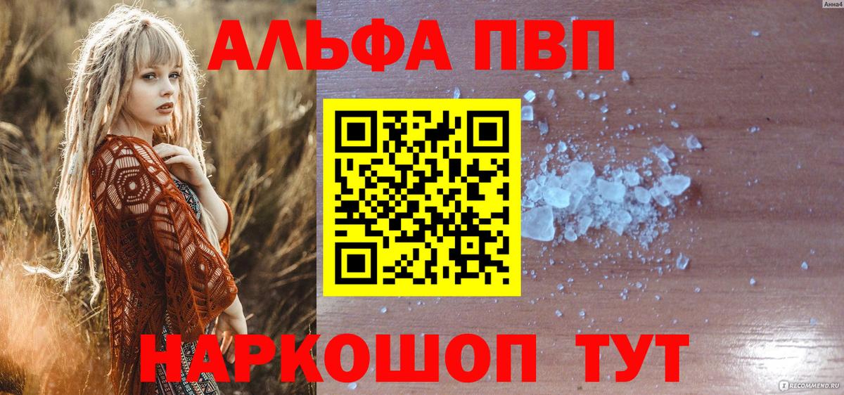 A PVP крисы CK Луга