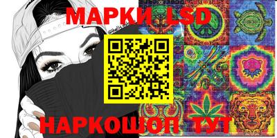 ешки Дубна