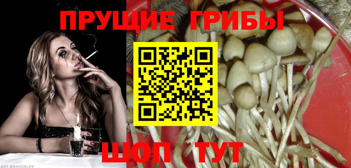 Галлюциногенные грибы GOLDEN TEACHER  дарнет шоп  Луга  Вход с VPN 